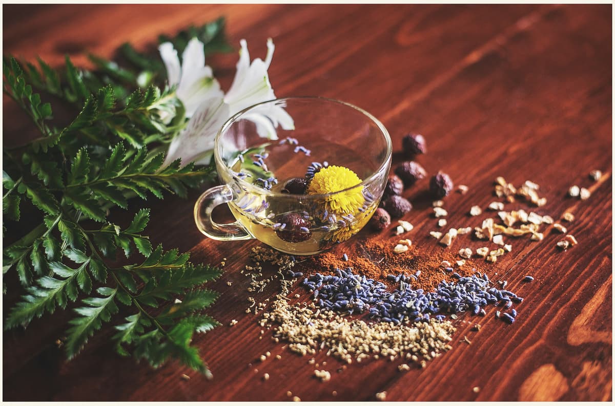 Repas partagés et saveurs du séjour
